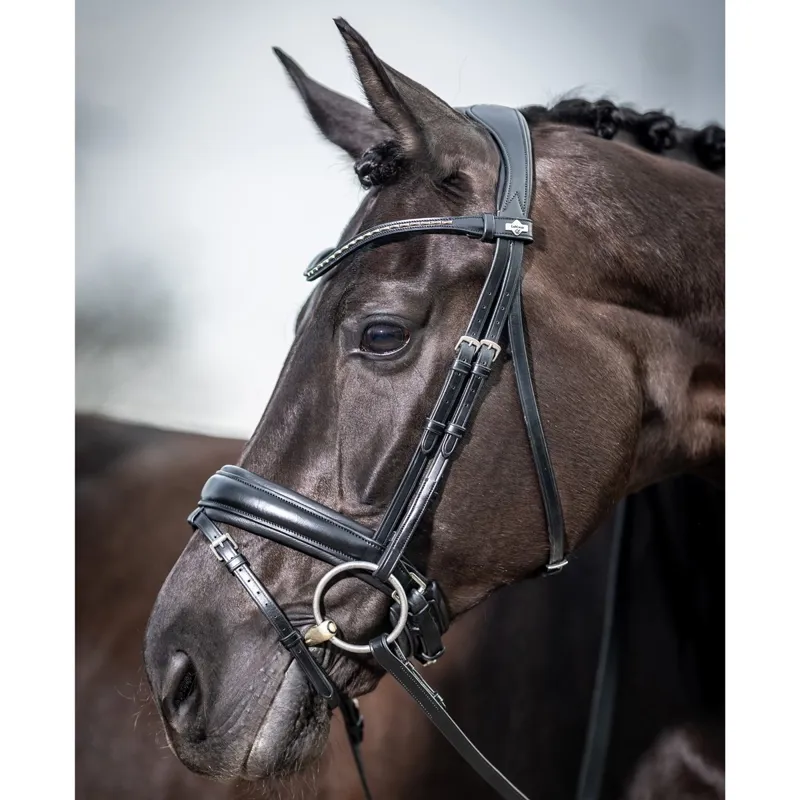LeMieux Kudos Classic Dressage Flash Bridle-Black-3