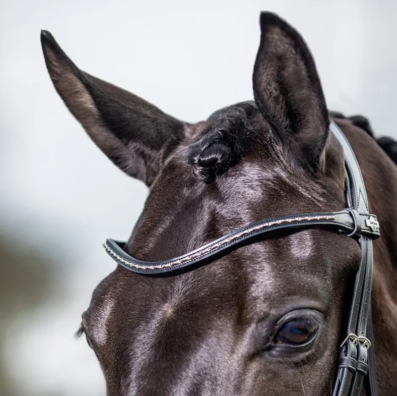 LeMieux Kudos Classic Dressage Flash Bridle-Black-4