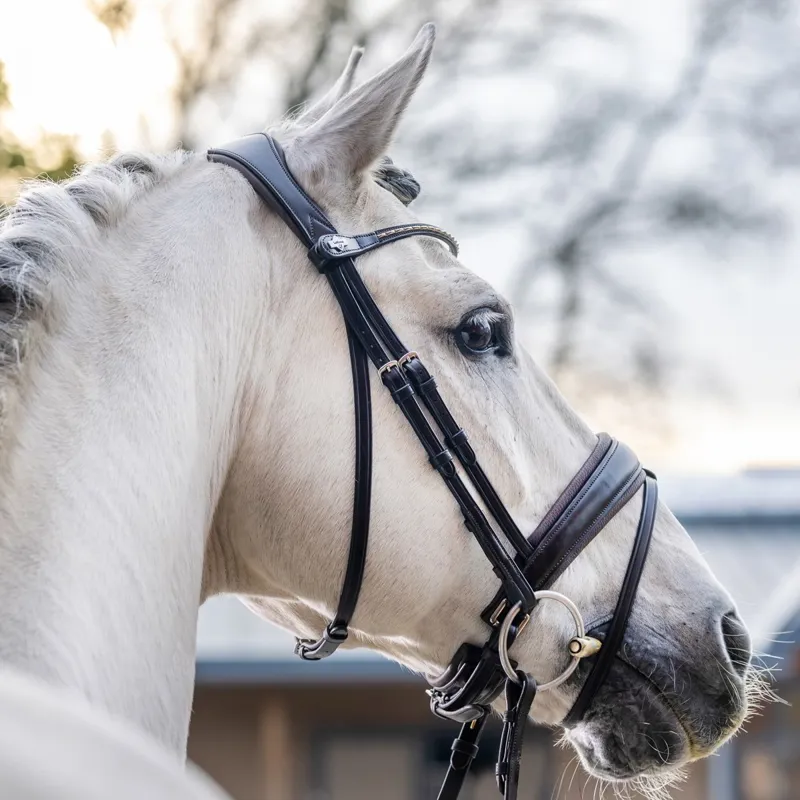 LeMieux Kudos Classic Dressage Flash Bridle - Havana-2