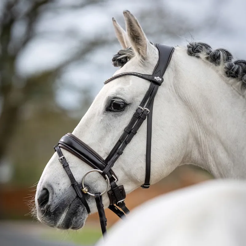 LeMieux Kudos Classic Dressage Flash Bridle - Havana-3
