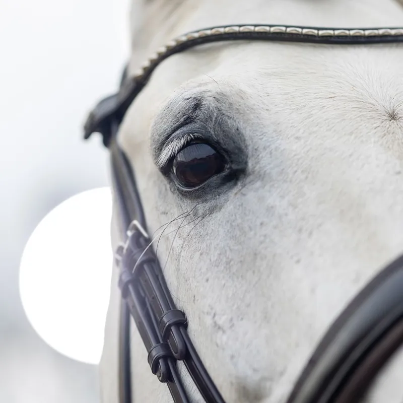 LeMieux Kudos Classic Dressage Flash Bridle - Havana-4