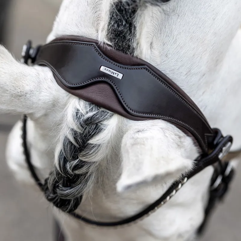 LeMieux Kudos Classic Dressage Flash Bridle - Havana-5
