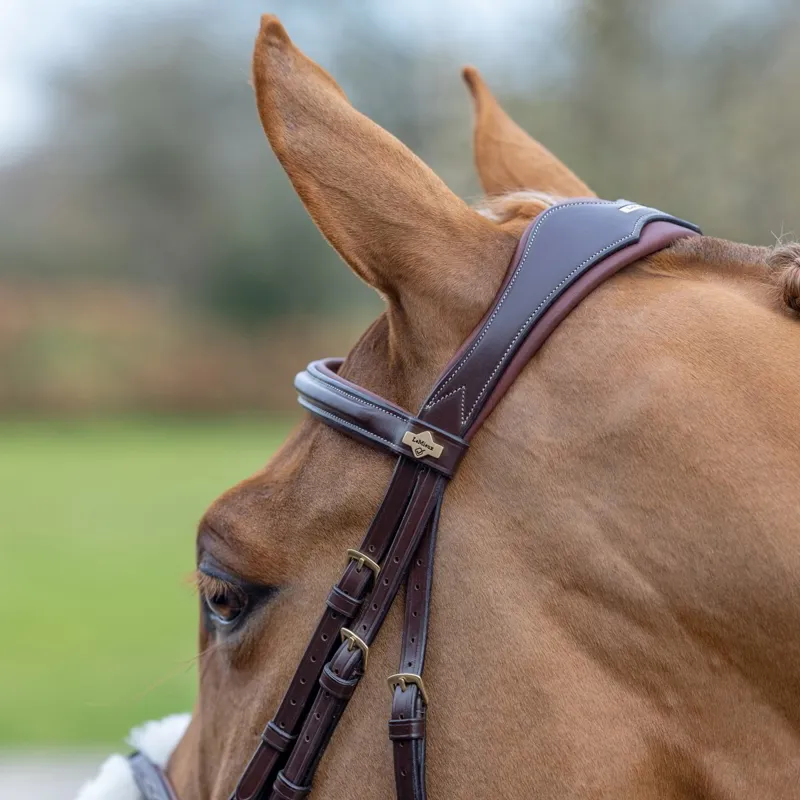 LeMieux Kudos Grackle Bridle - Havana-2