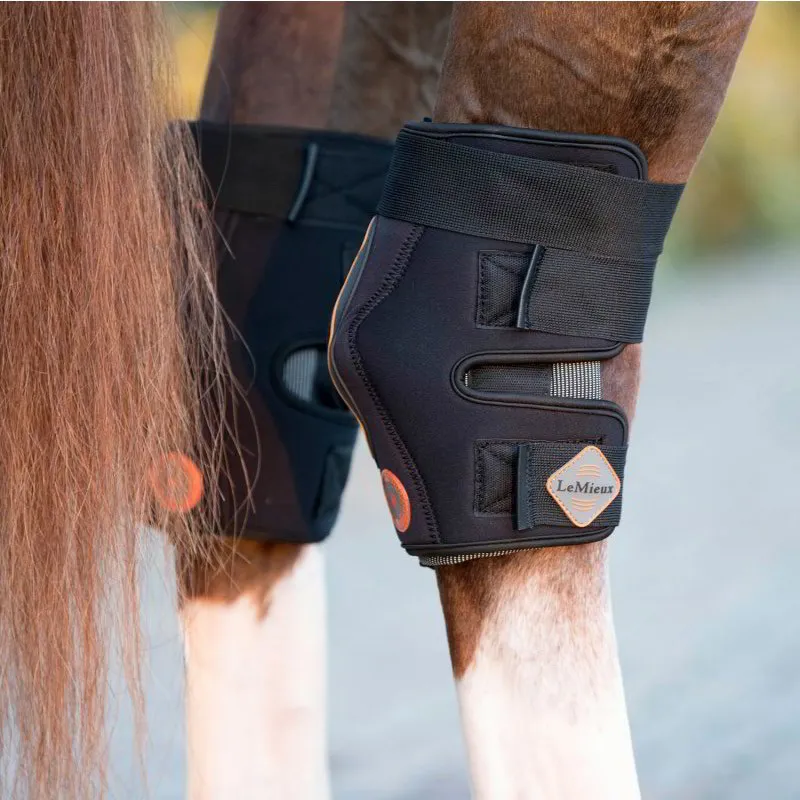 LeMieux Conductive Magno Magnetic Therapy Hock Boots