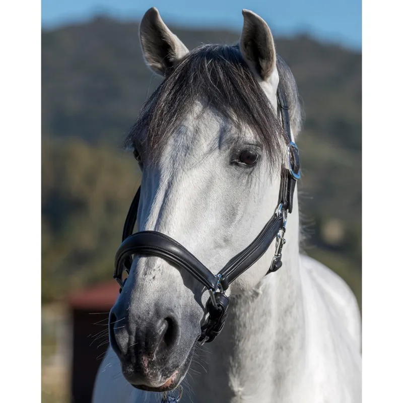 LeMieux Anatomic Leather Halter - Black-1