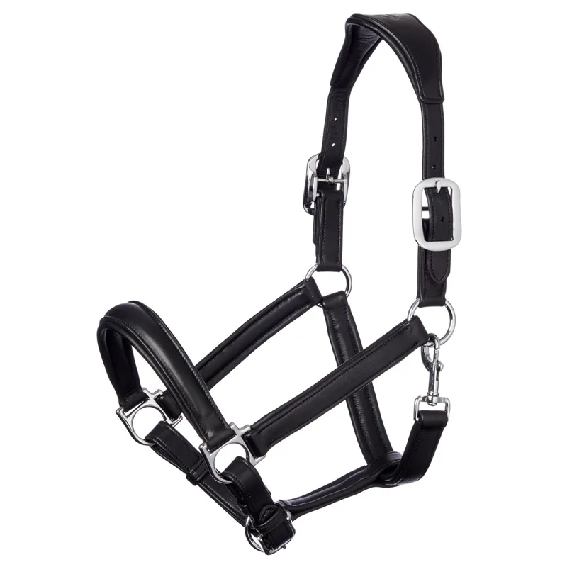 LeMieux Anatomic Leather Halter - Black