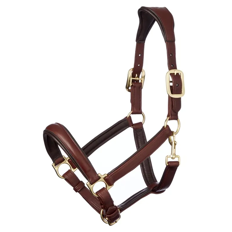 LeMieux Anatomic Leather Halter - Brown