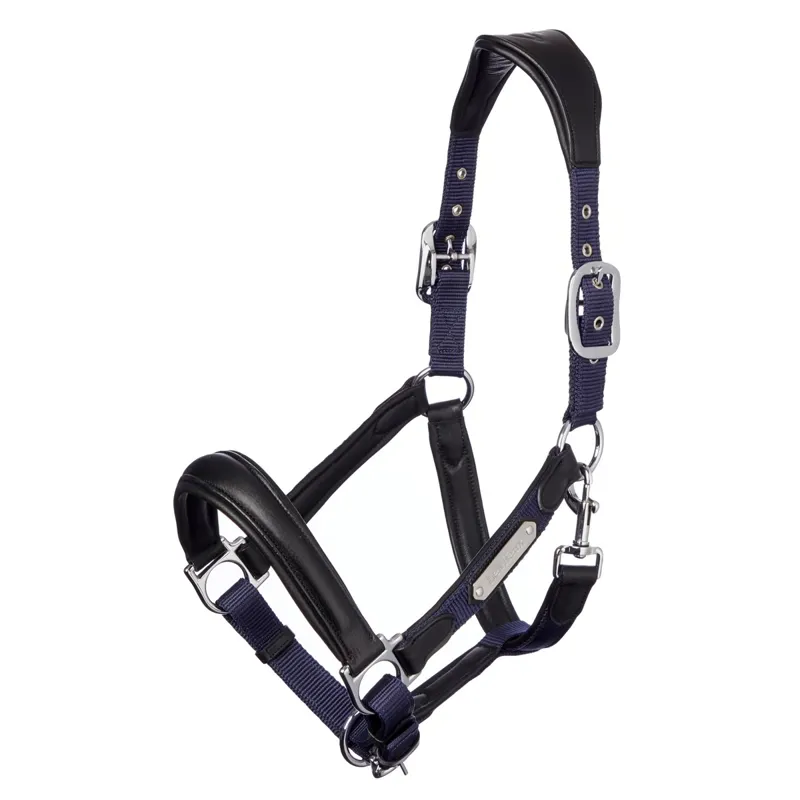 LeMieux Capella Leather Halter - Navy/Black