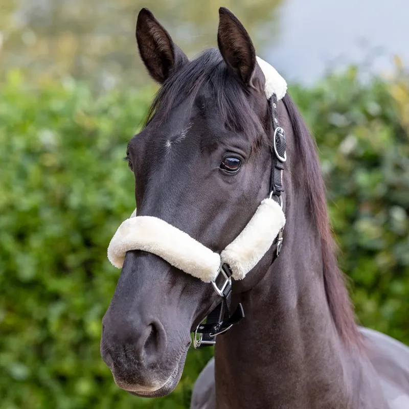 LeMieux Comfort Fleece Halter - Black/Natural-1