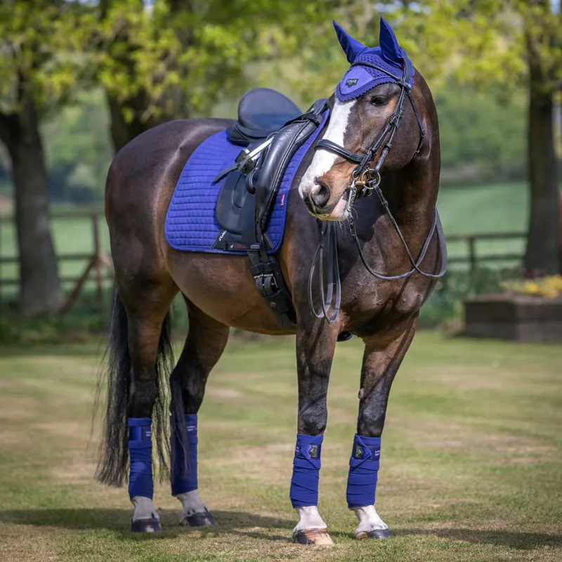 LeMieux Loire Fly Hood - Ink Blue-7
