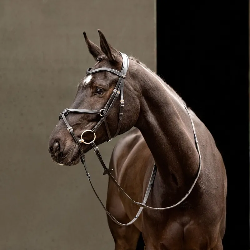 LeMieux Arika Figure 8 Bridle - Black/Silver-4