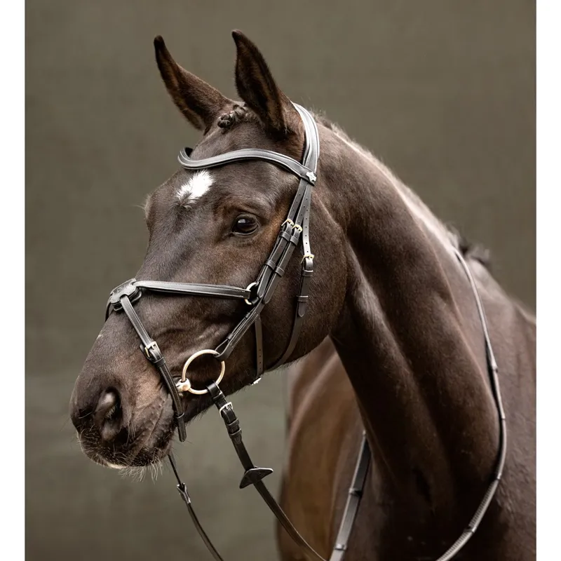 LeMieux Arika Figure 8 Bridle - Black/Silver-2