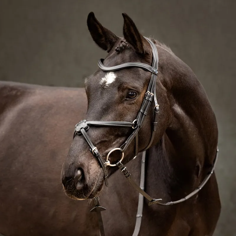 LeMieux Arika Figure 8 Bridle - Black/Silver-1