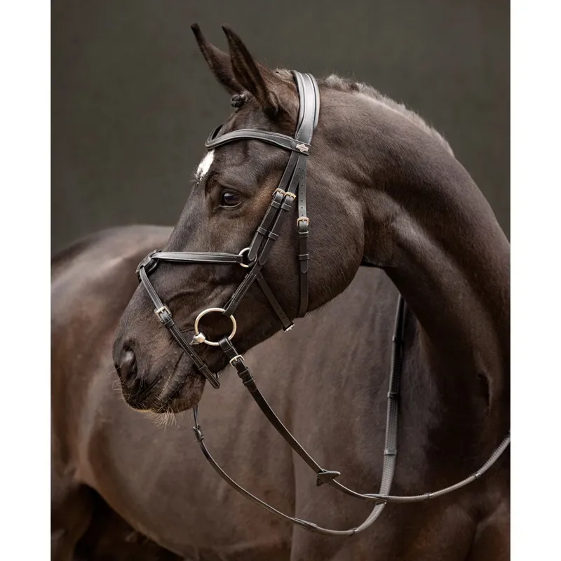 LeMieux Arika Figure 8 Bridle - Black/Silver-3