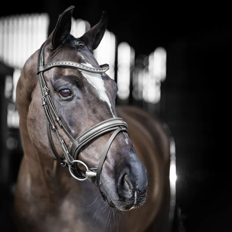 LeMieux Arika Dressage Bridle - Black/Silver-1