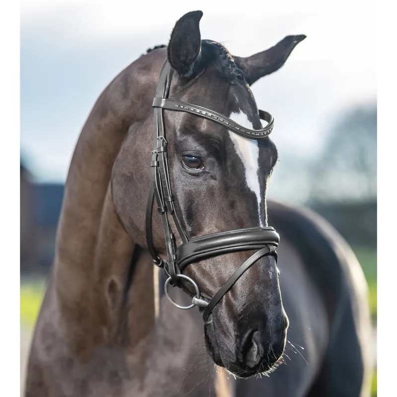 LeMieux Arika Dressage Bridle - Black/Silver-3