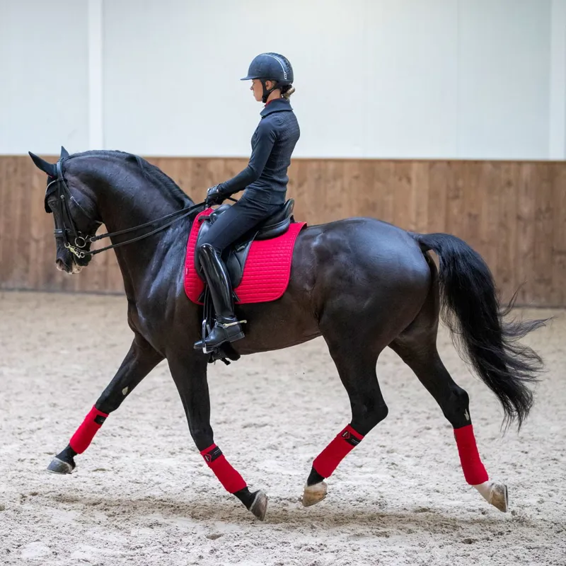 LeMieux Luxury Polo Wraps - Chilli-3