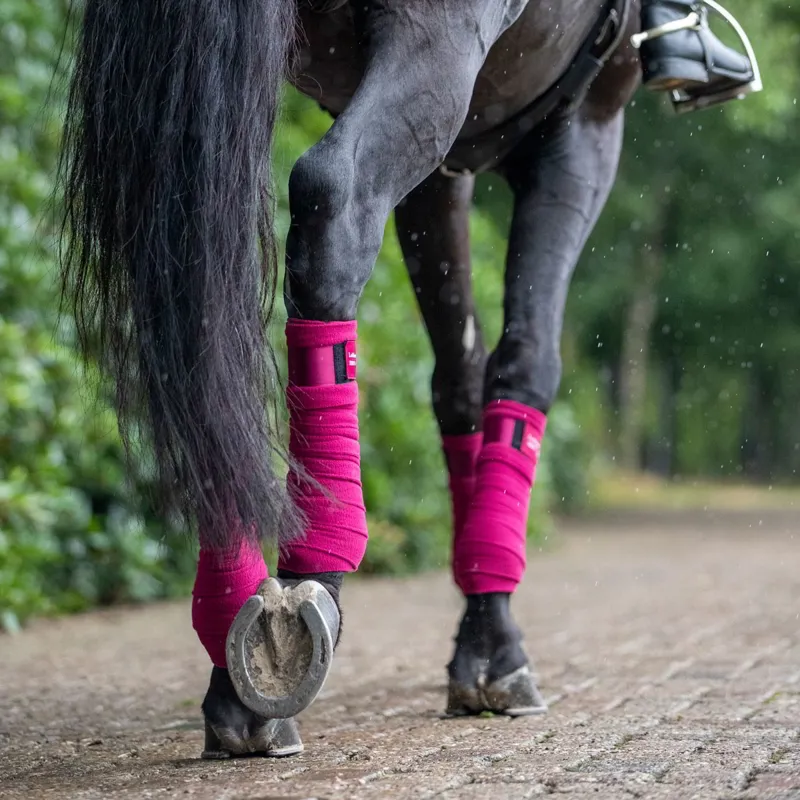 LeMieux Loire Polo Wraps - Mulberry-3