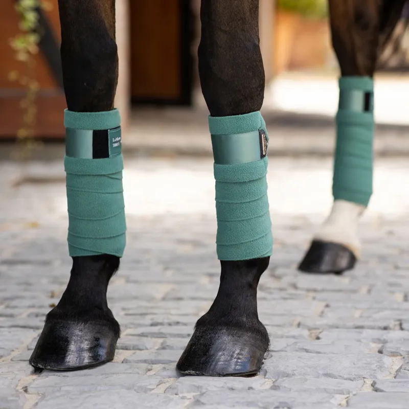 LeMieux Loire Polo Wraps - Sage-1