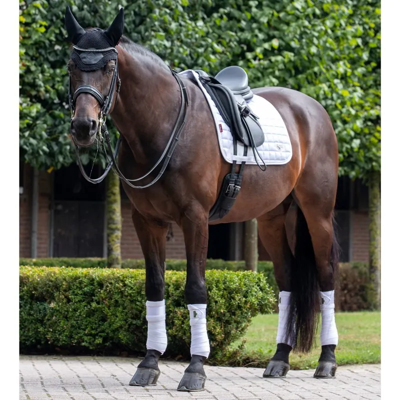 LeMieux Loire Polo Wraps - White-1