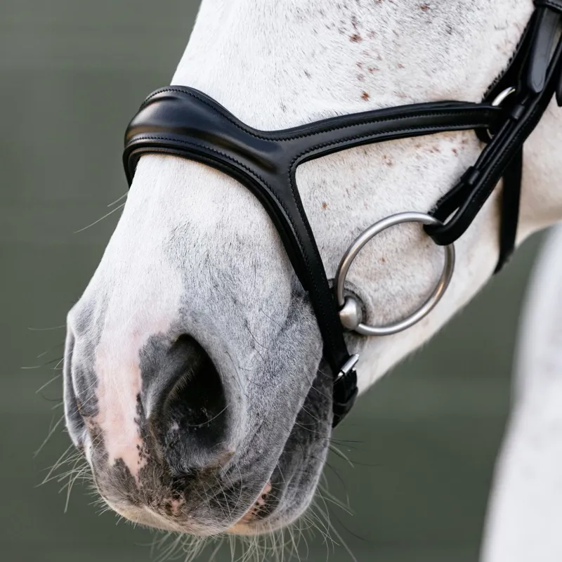 LeMieux Kudos Sport Bridle - Black-2