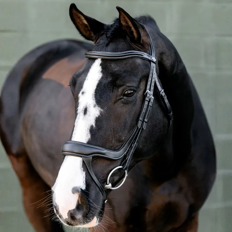 LeMieux Arika Split Noseband Bridle - Black