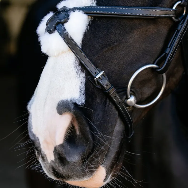 LeMieux Arika Grackle Bridle - Black/Silver-3