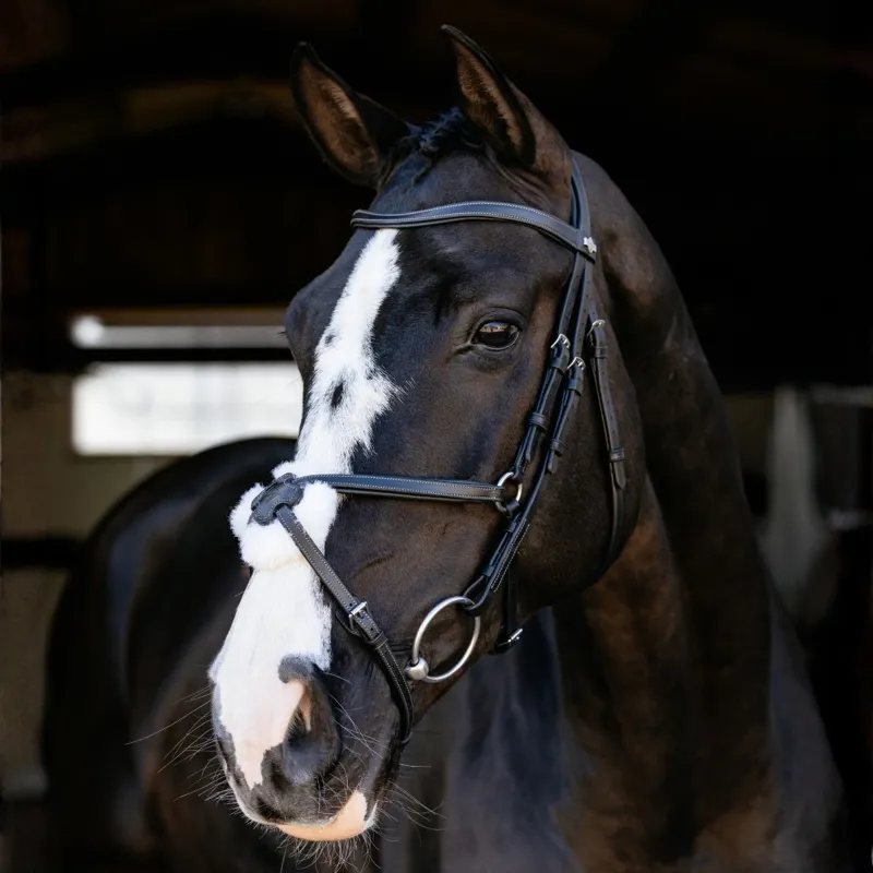 LeMieux Arika Grackle Bridle - Black/Silver