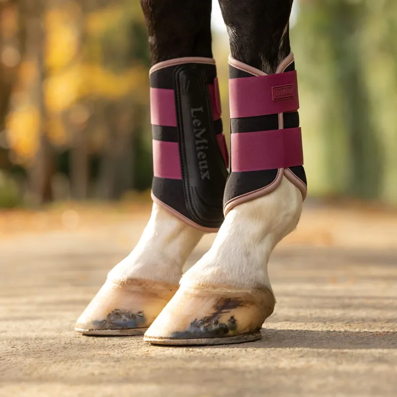 LeMieux Air-Tek Grafter Splint Boots - Blackberry-1