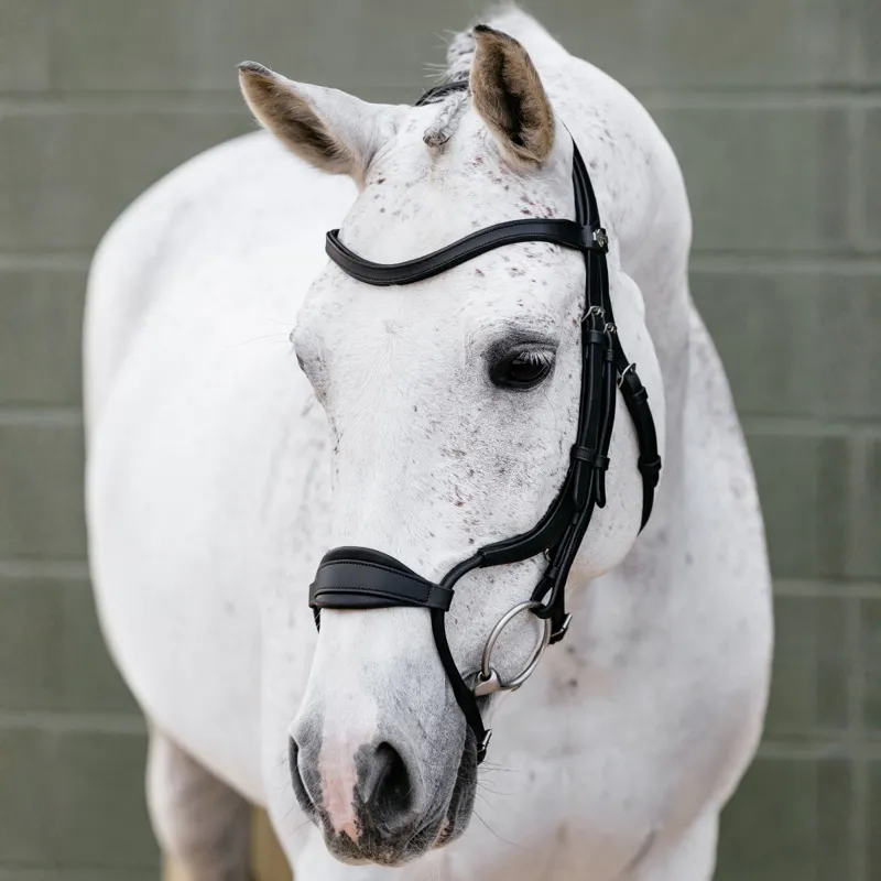 LeMieux Arika Adjustable Anatomic Noseband Bridle - Black/Silver