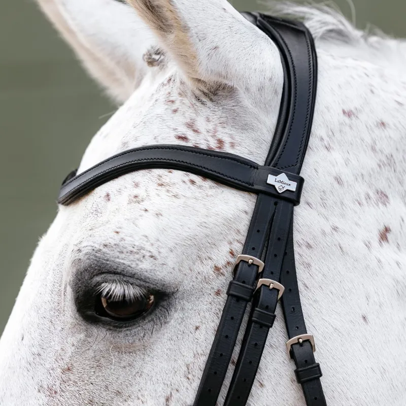 LeMieux Arika Adjustable Anatomic Noseband Bridle - Black/Silver-3