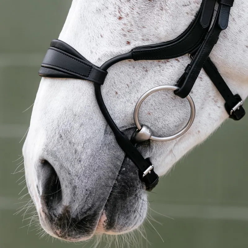 LeMieux Arika Adjustable Anatomic Noseband Bridle - Black/Silver-2