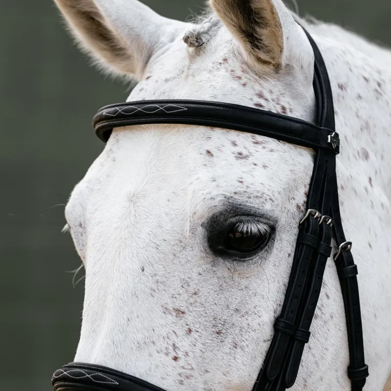 LeMieux Classique Cavesson Bridle - Black-4