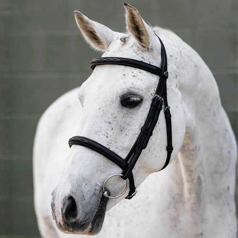 LeMieux Classique Cavesson Bridle - Black-2