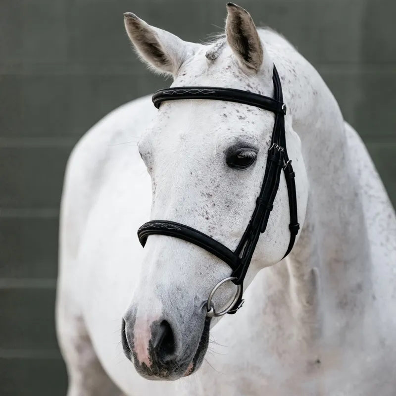 LeMieux Classique Cavesson Bridle - Black-1