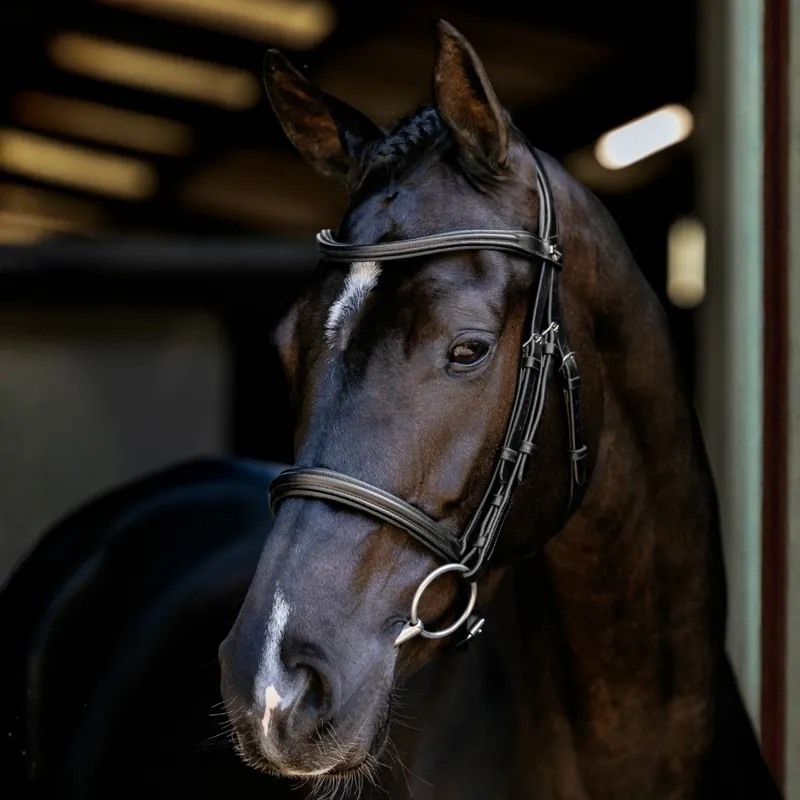 LeMieux Arika Cavesson Bridle-Black/Silver