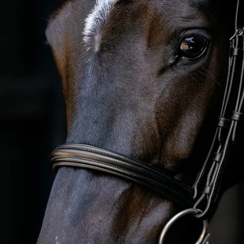 LeMieux Arika Cavesson Bridle-Black/Silver-3