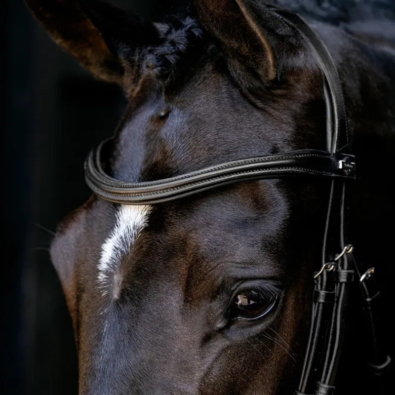 LeMieux Arika Cavesson Bridle-Black/Silver-2