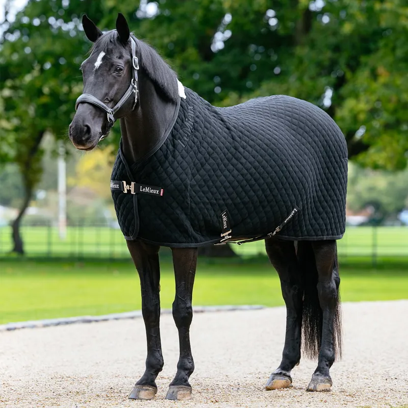 LeMieux Arika Clima-Tek Fleece Cooler - Black