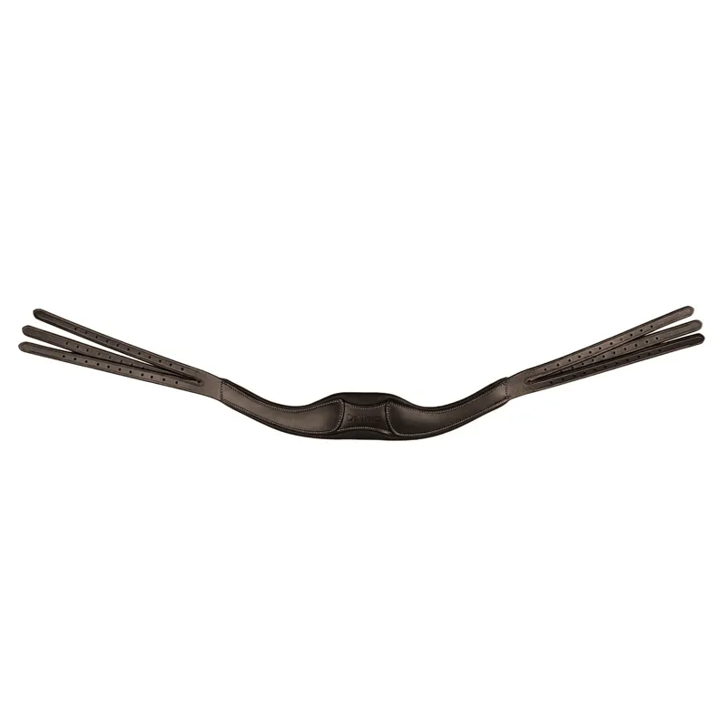 LeMieux Arika Contrast Anatomic Headpiece - Brown/Silver