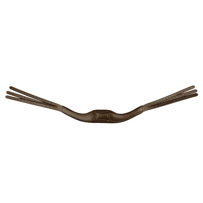 LeMieux Arika Contrast Anatomic Headpiece - Havana/Silver
