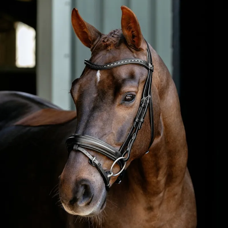 LeMieux Arika Dressage Bridle - Black/Silver