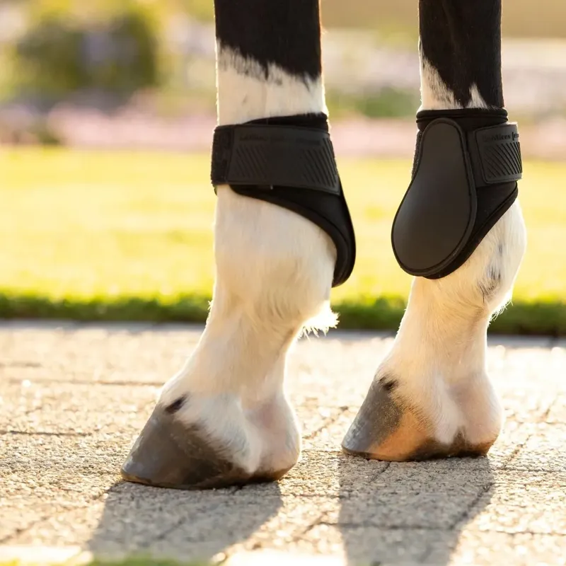 LeMieux Arika Fetlock Boots - Black-2