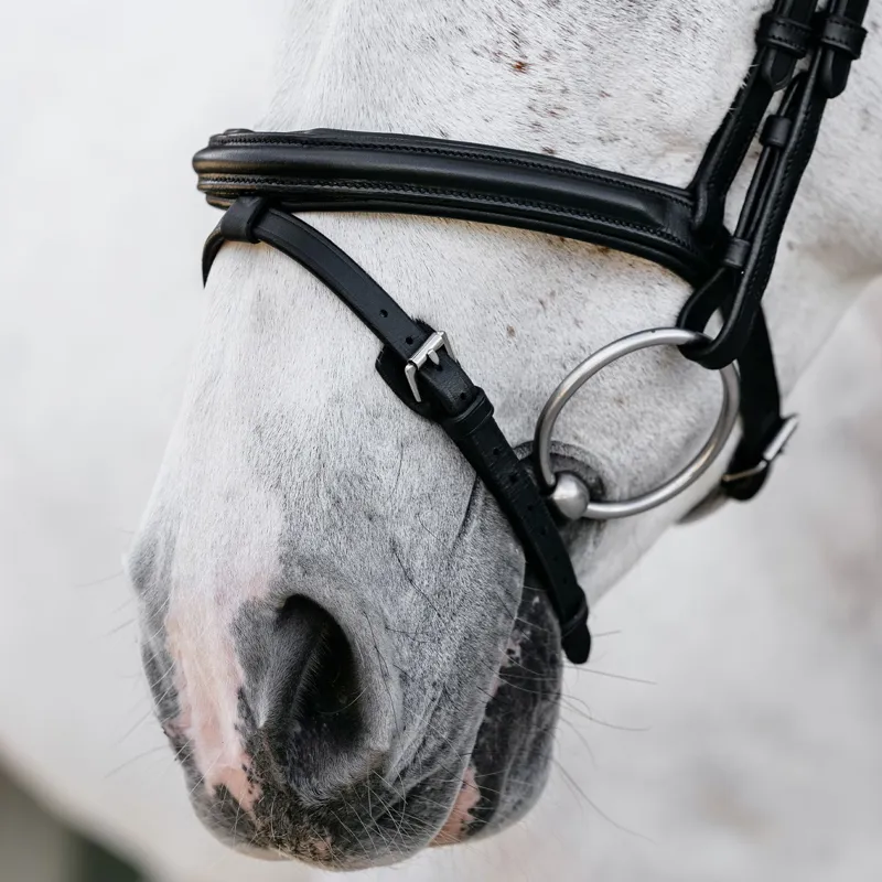 LeMieux Arika Flash Bridle - Black/Silver-2