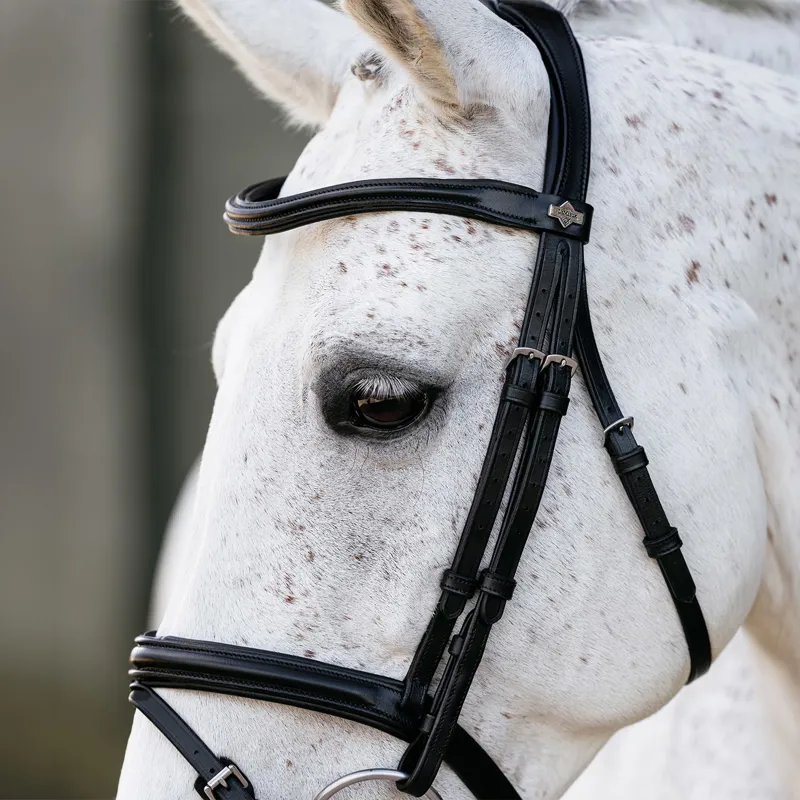 LeMieux Arika Flash Bridle - Black/Silver-1