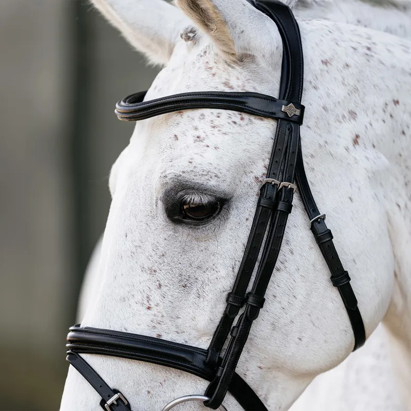 LeMieux Arika Flash Bridle - Black/Silver-2