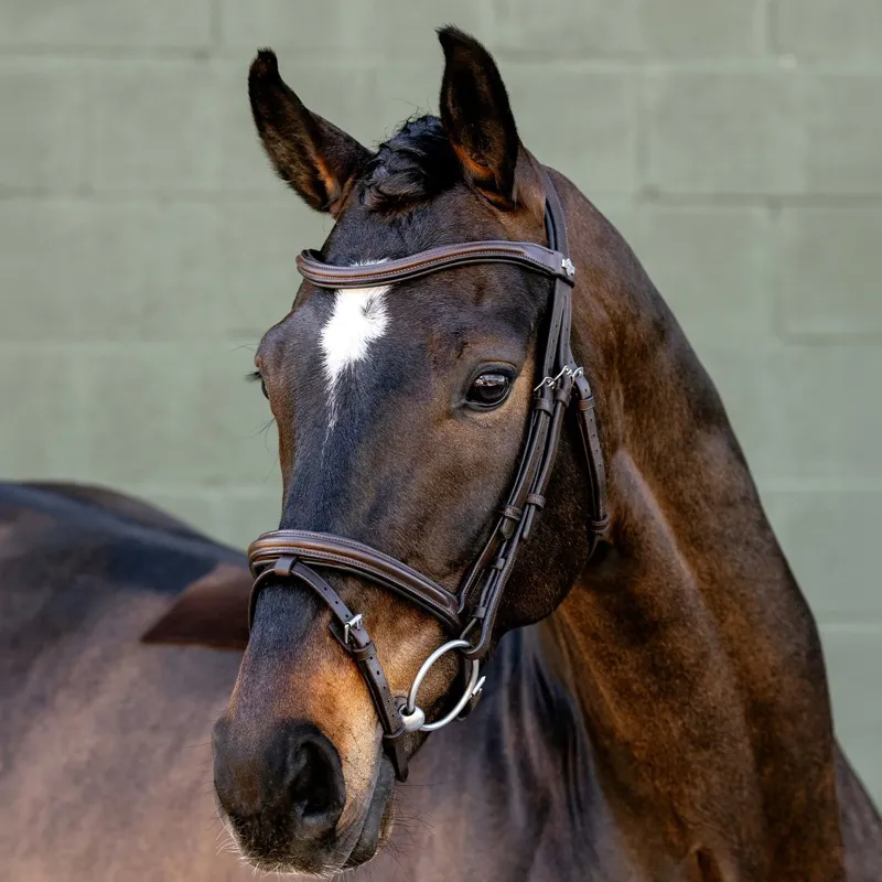 LeMieux Arika Flash Bridle - Brown/Silver