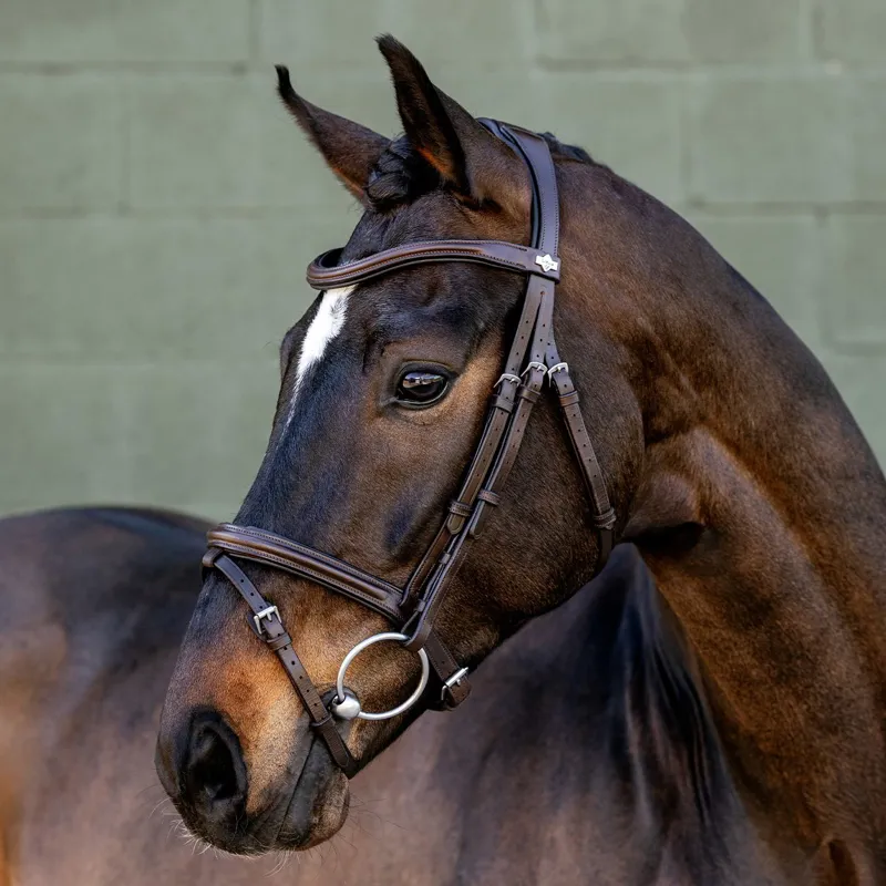 LeMieux Arika Flash Bridle - Brown/Silver-2