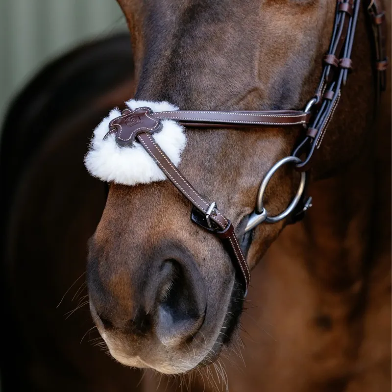 LeMieux Arika Grackle Bridle - Havana/Silver-4