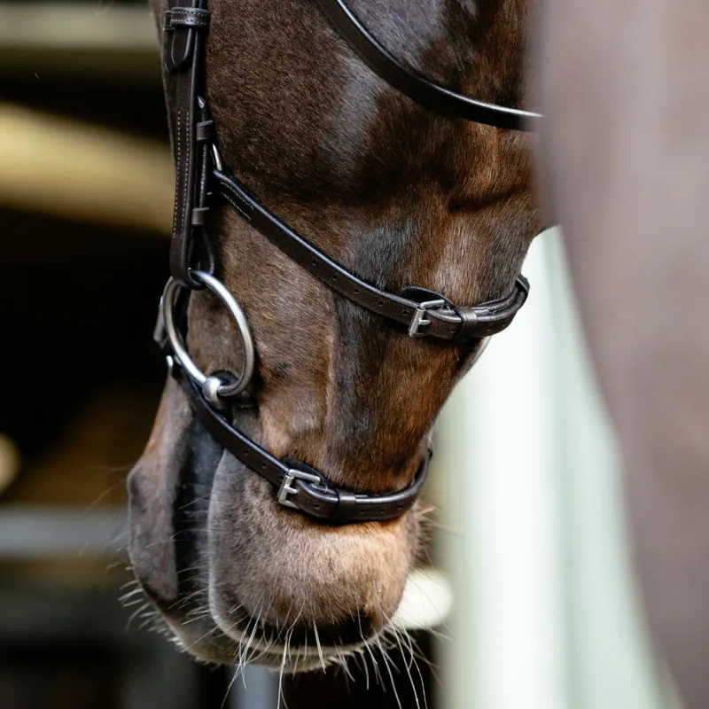 LeMieux Arika Grackle Bridle - Havana/Silver-2